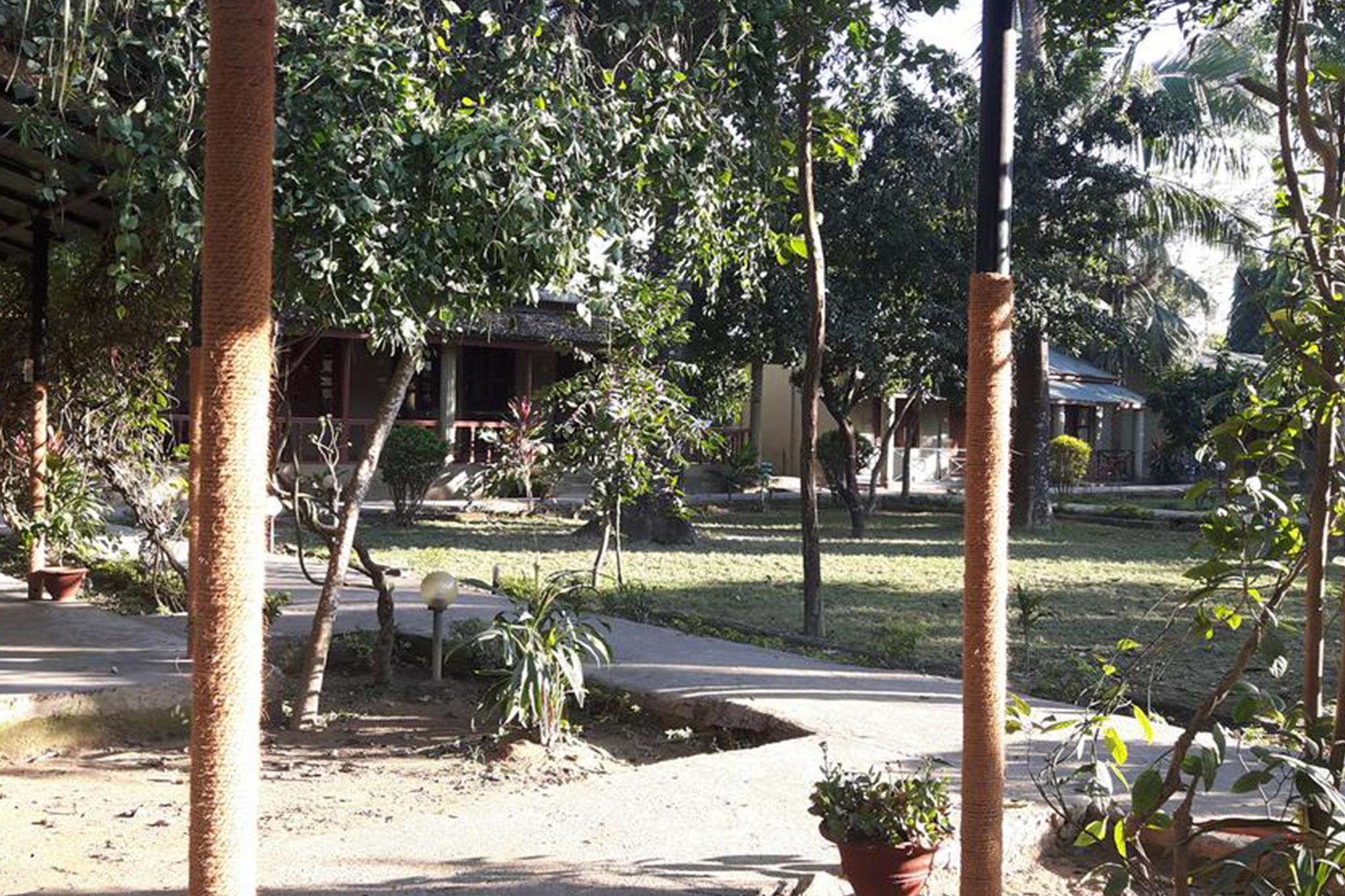 Unique Wild Resort Sauraha Exterior foto